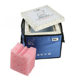 medical cold chain box