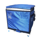 medical cold chain box